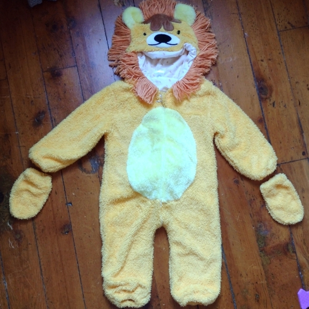 Coco village lion costume